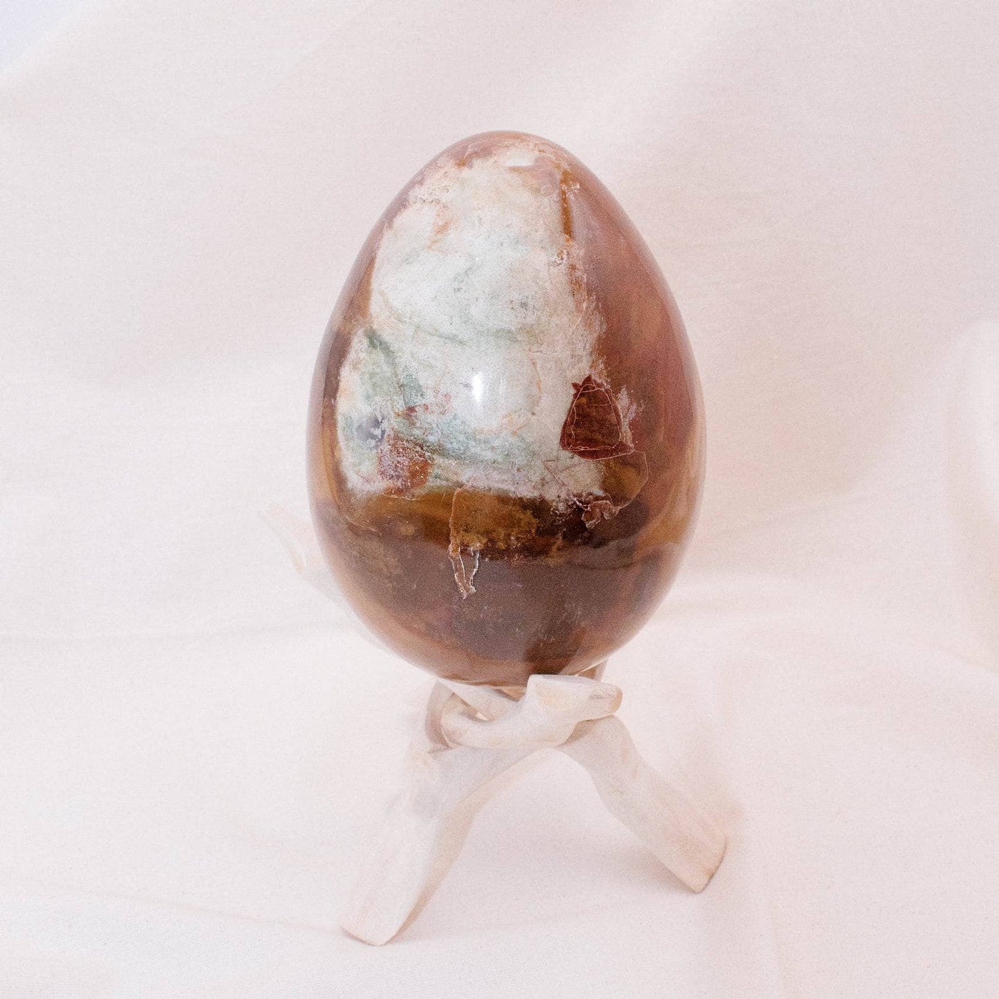Petrified Wood Egg - AAA Premium Quality