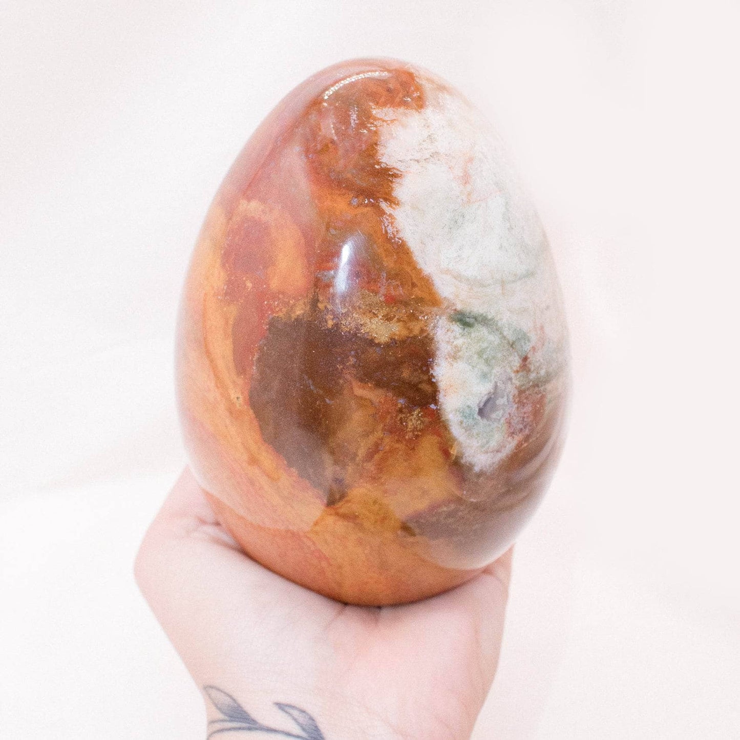 Petrified Wood Egg - AAA Premium Quality