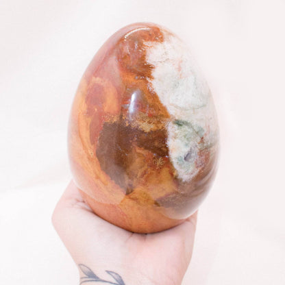 Petrified Wood Egg - AAA Premium Quality