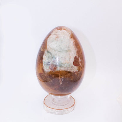 Petrified Wood Egg - AAA Premium Quality