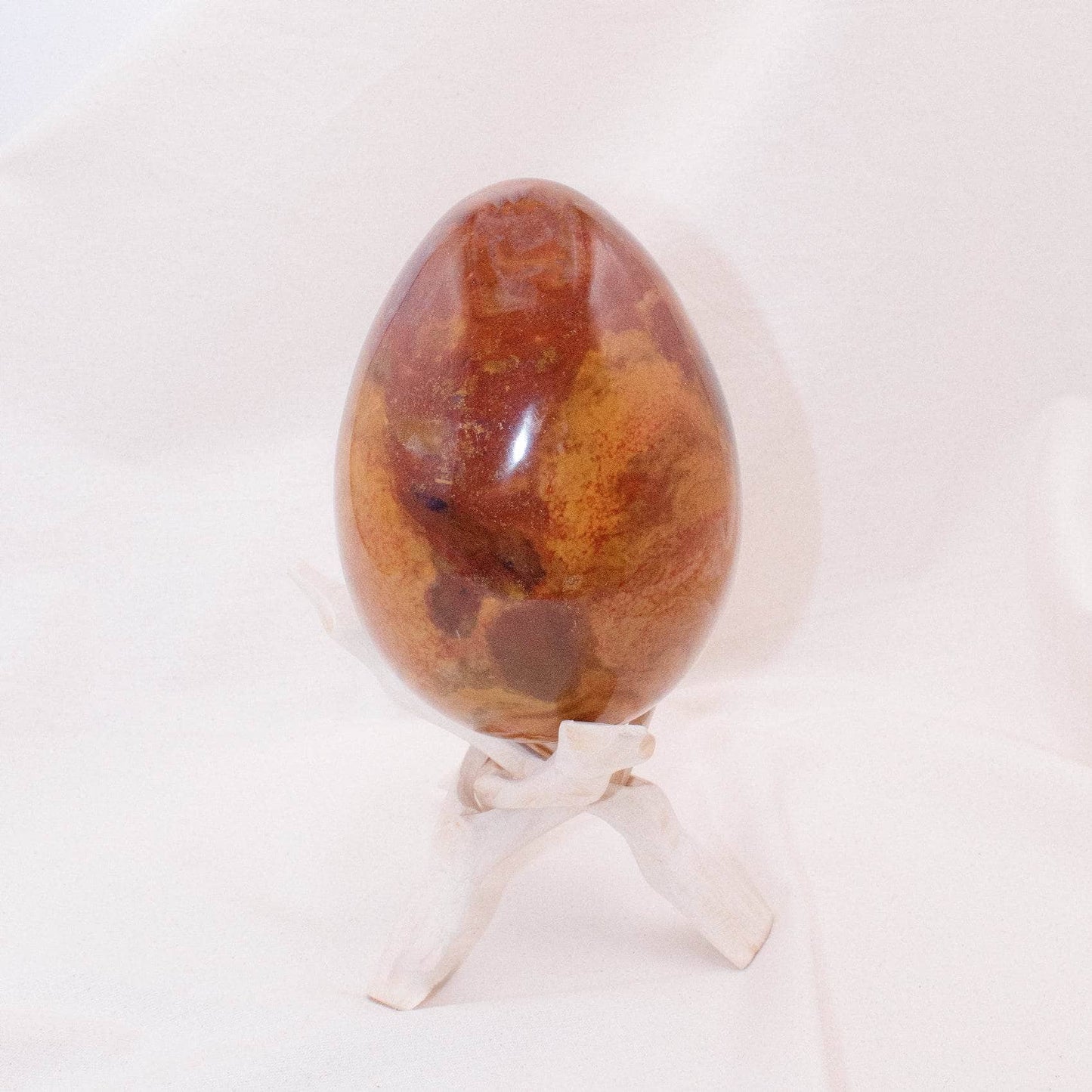 Petrified Wood Egg - AAA Premium Quality