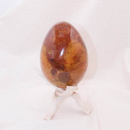 Petrified Wood Egg - AAA Premium Quality