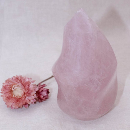 Rose Quartz Flame Crystals - 1 of a Kind