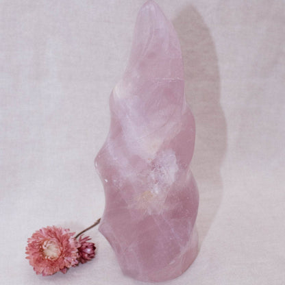 Rose Quartz Flame Crystals - 1 of a Kind