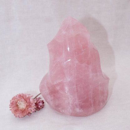 Rose Quartz Flame Crystals - 1 of a Kind