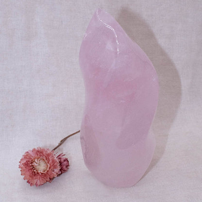 Rose Quartz Flame Crystals - 1 of a Kind