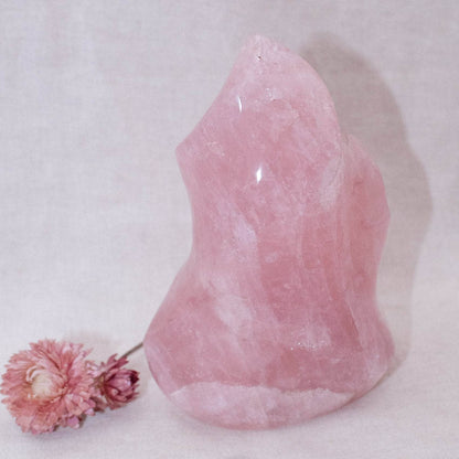 Rose Quartz Flame Crystals - 1 of a Kind
