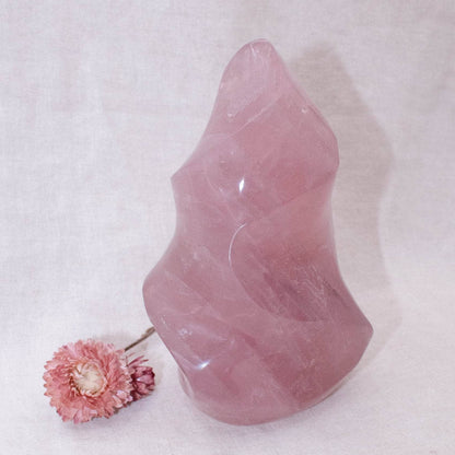 Rose Quartz Flame Crystals - 1 of a Kind