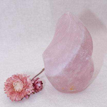 Rose Quartz Flame Crystals - 1 of a Kind