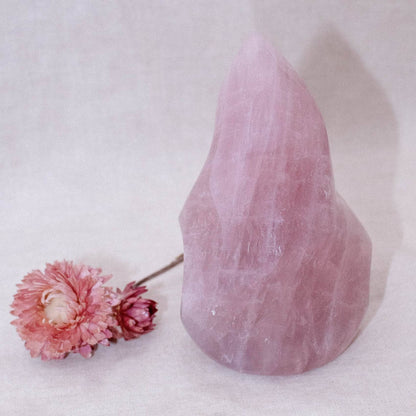 Rose Quartz Flame Crystals - 1 of a Kind