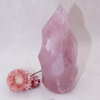 Rose Quartz Flame Crystals - 1 of a Kind