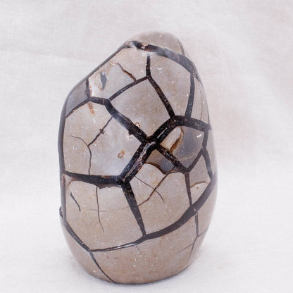 Rare Black Septarian Freeform Crystal