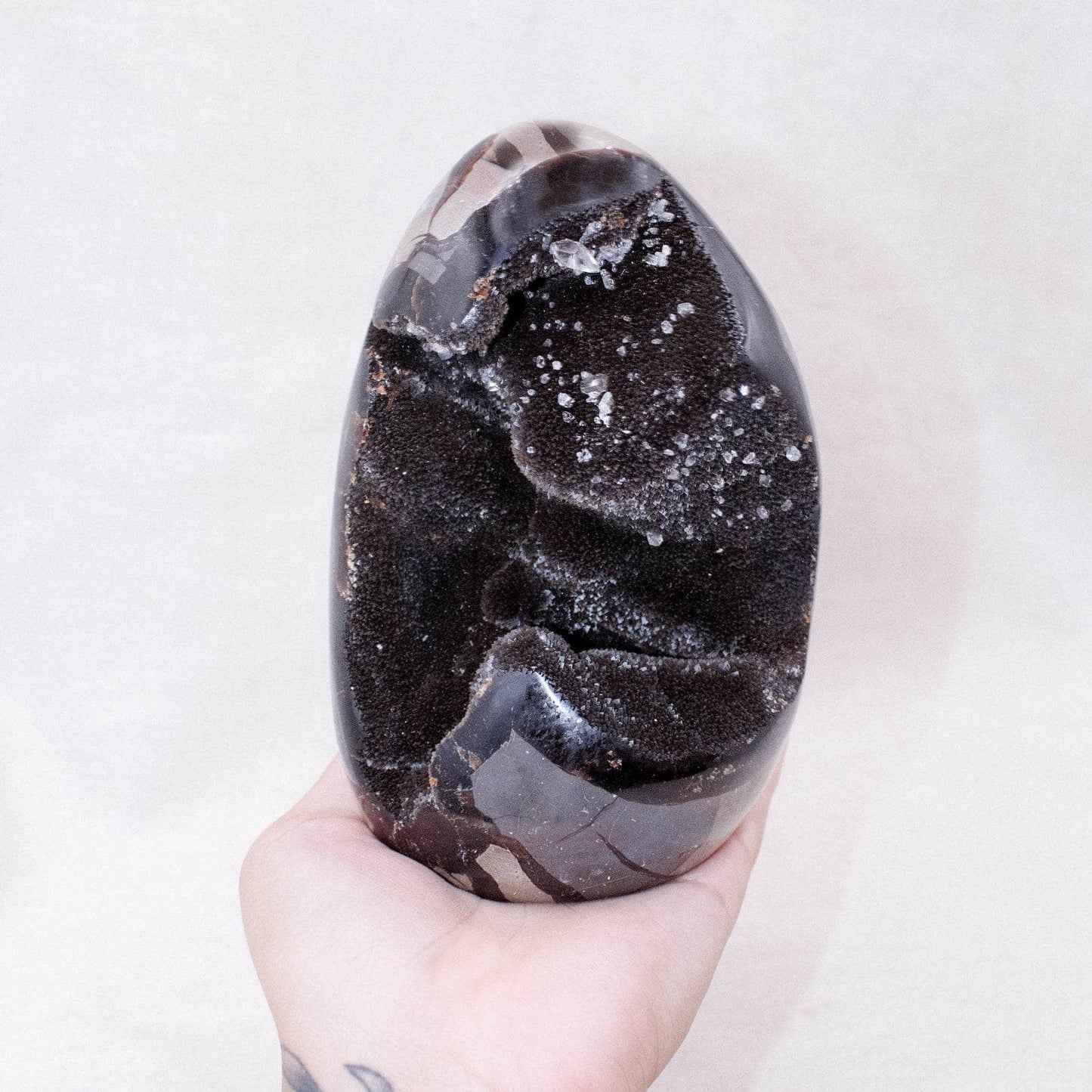 Rare Black Septarian Freeform Crystal