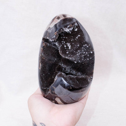 Rare Black Septarian Freeform Crystal