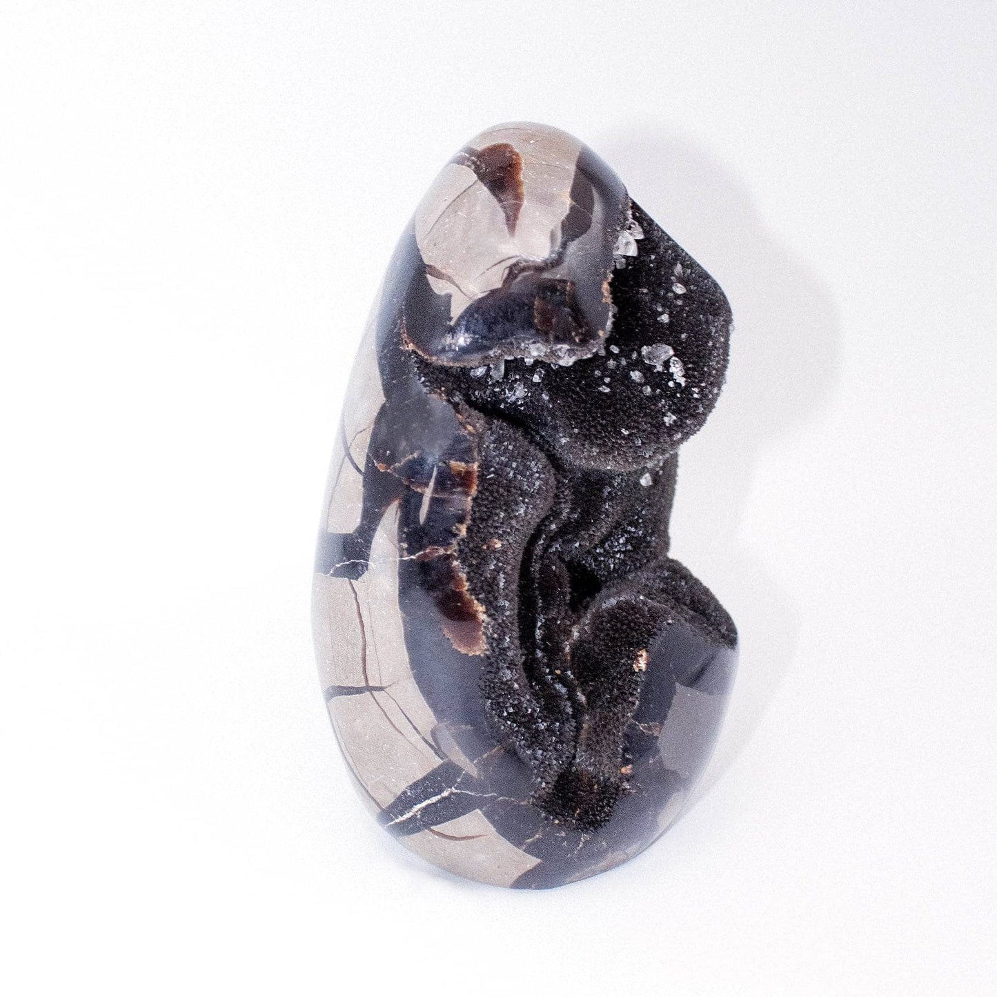 Rare Black Septarian Freeform Crystal