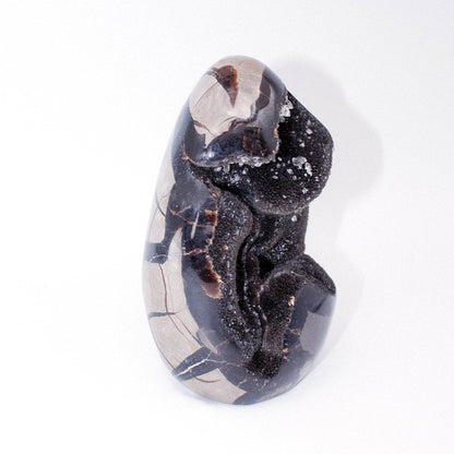 Rare Black Septarian Freeform Crystal