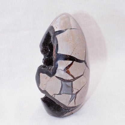 Rare Black Septarian Freeform Crystal