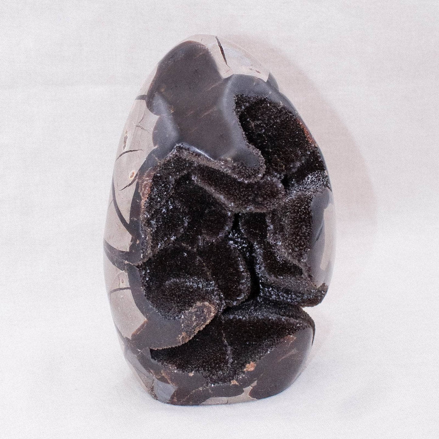 Rare Black Septarian Freeform Crystal