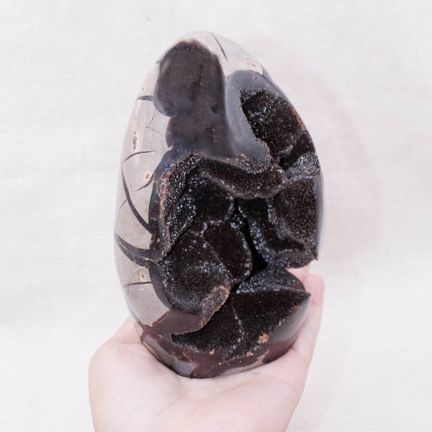 Rare Black Septarian Freeform Crystal