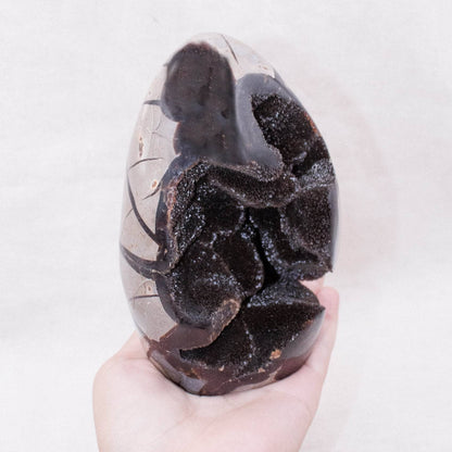 Rare Black Septarian Freeform Crystal