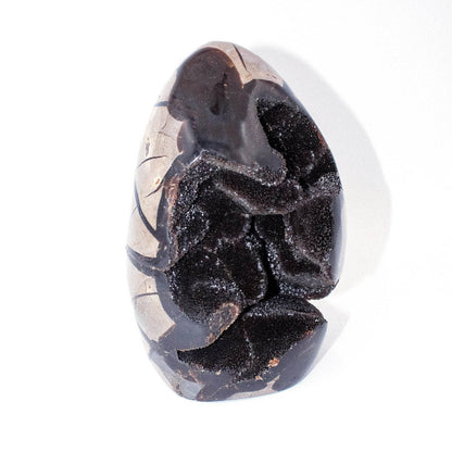 Rare Black Septarian Freeform Crystal
