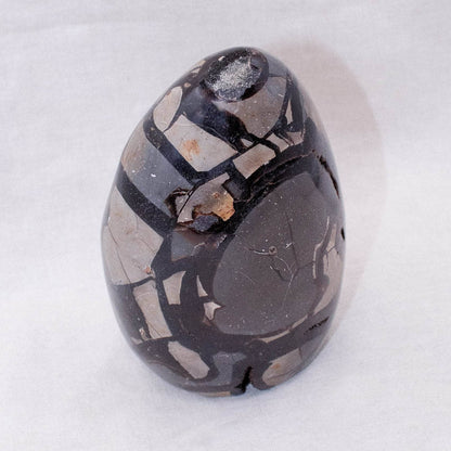 Rare Black Septarian Freeform Crystal