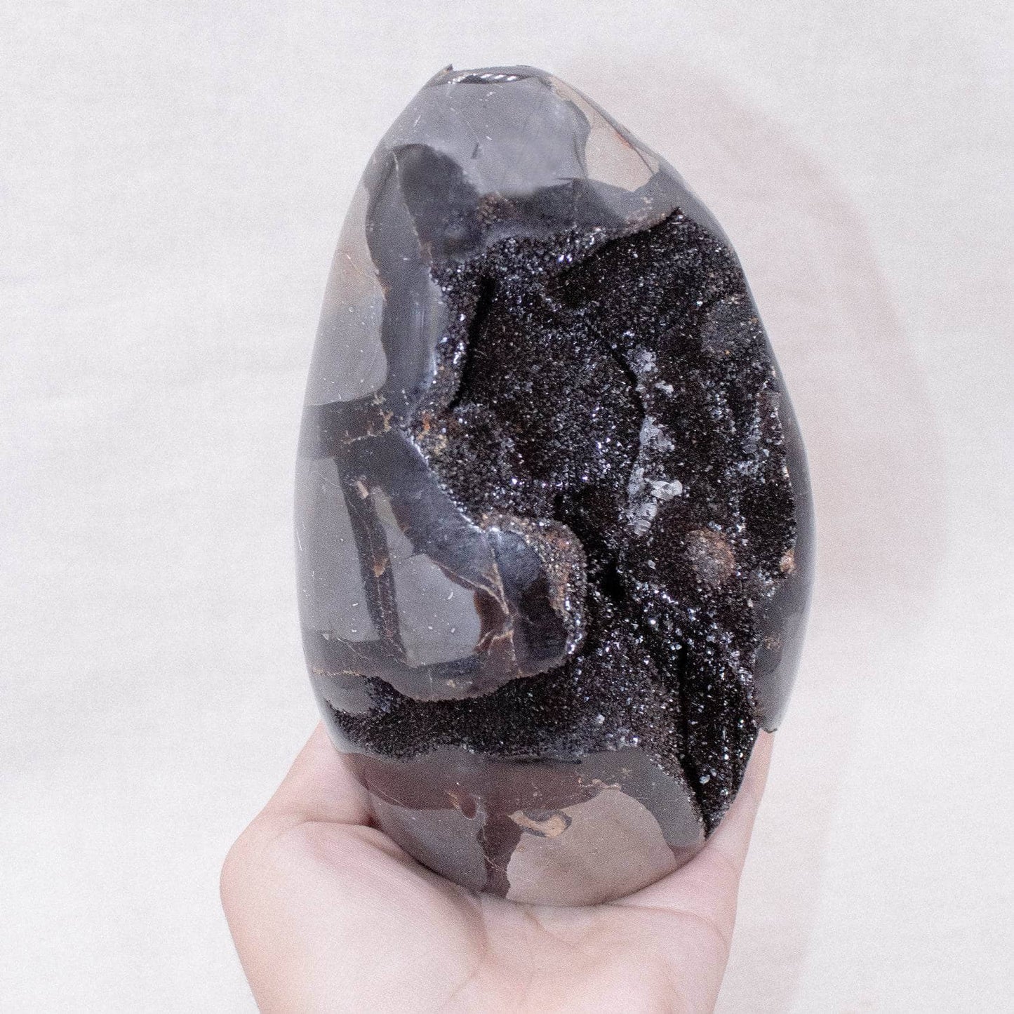 Rare Black Septarian Freeform Crystal