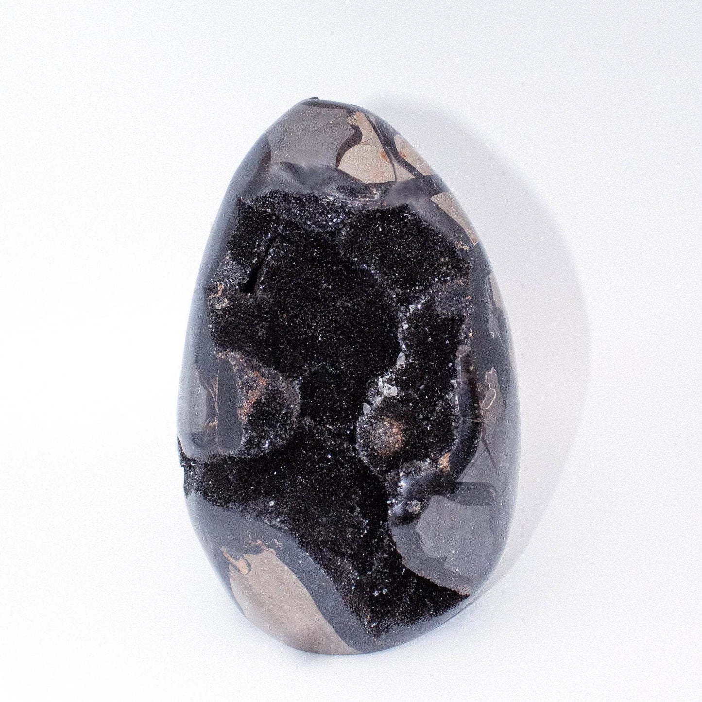 Rare Black Septarian Freeform Crystal