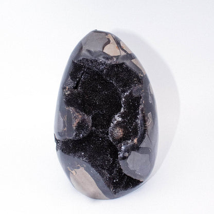 Rare Black Septarian Freeform Crystal