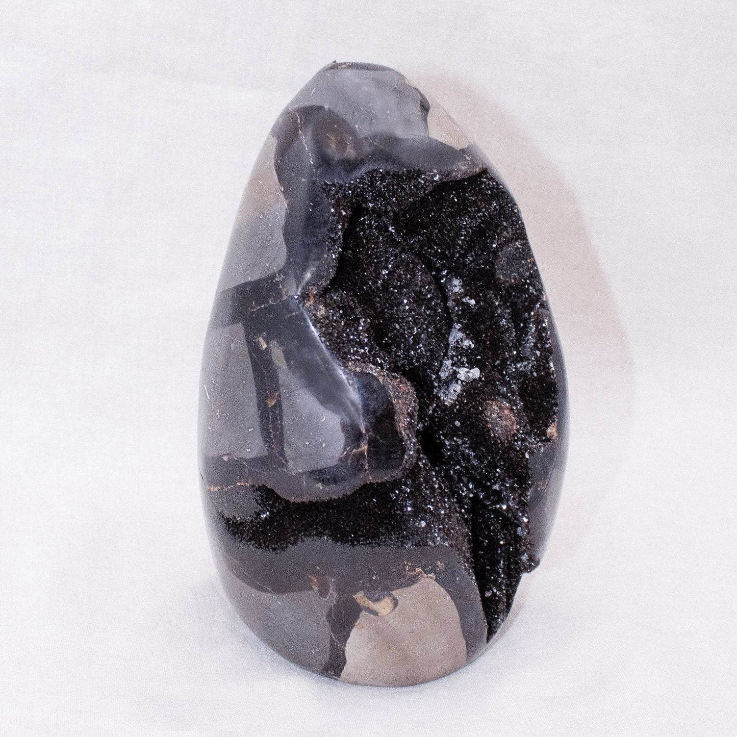 Rare Black Septarian Freeform Crystal