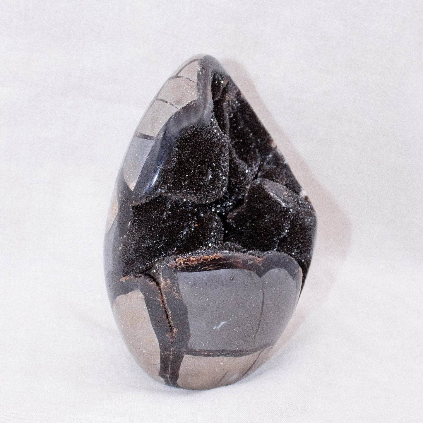 Rare Black Septarian Freeform Crystal