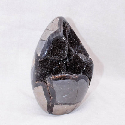 Rare Black Septarian Freeform Crystal