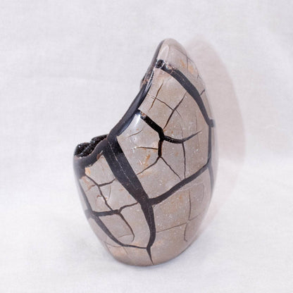 Rare Black Septarian Freeform Crystal
