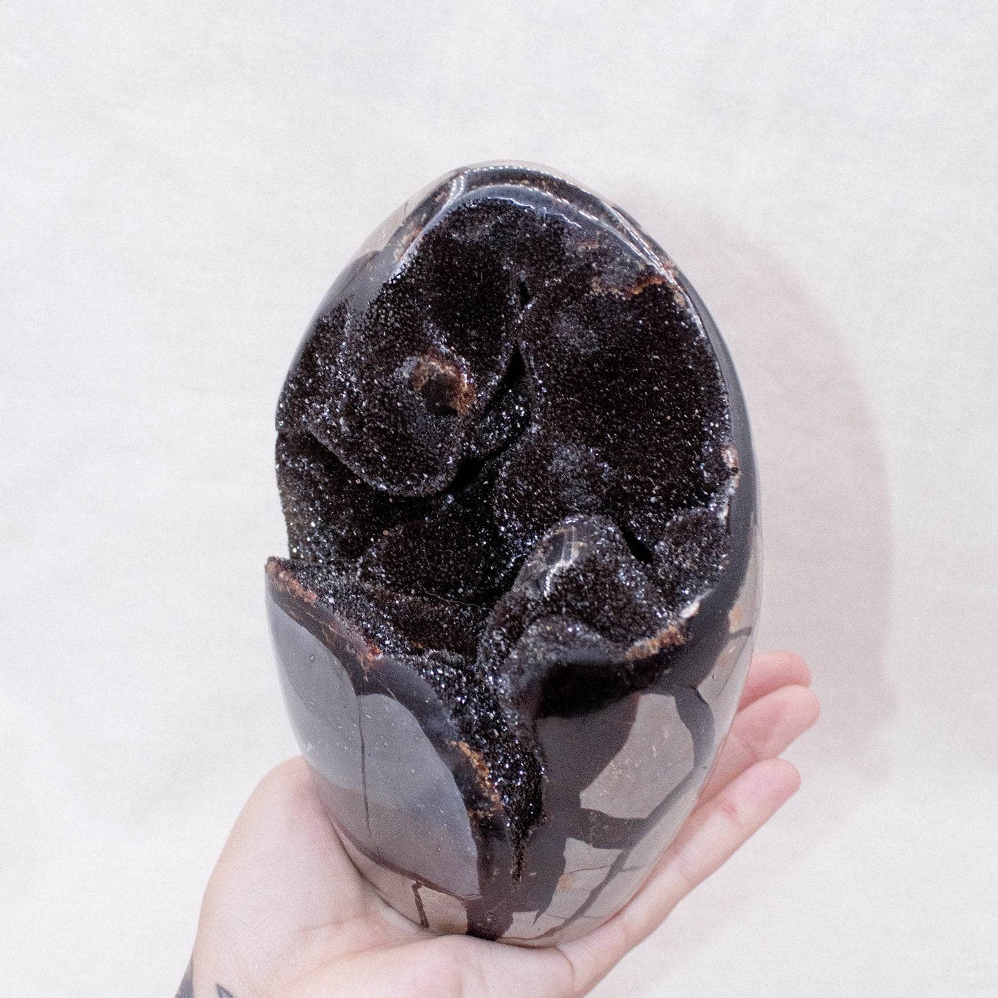 Rare Black Septarian Freeform Crystal