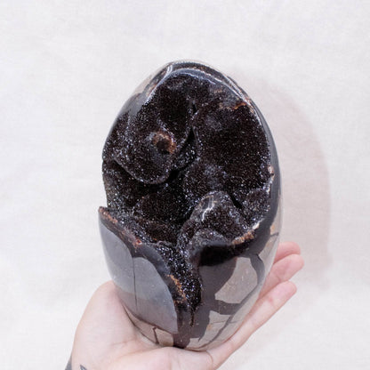 Rare Black Septarian Freeform Crystal