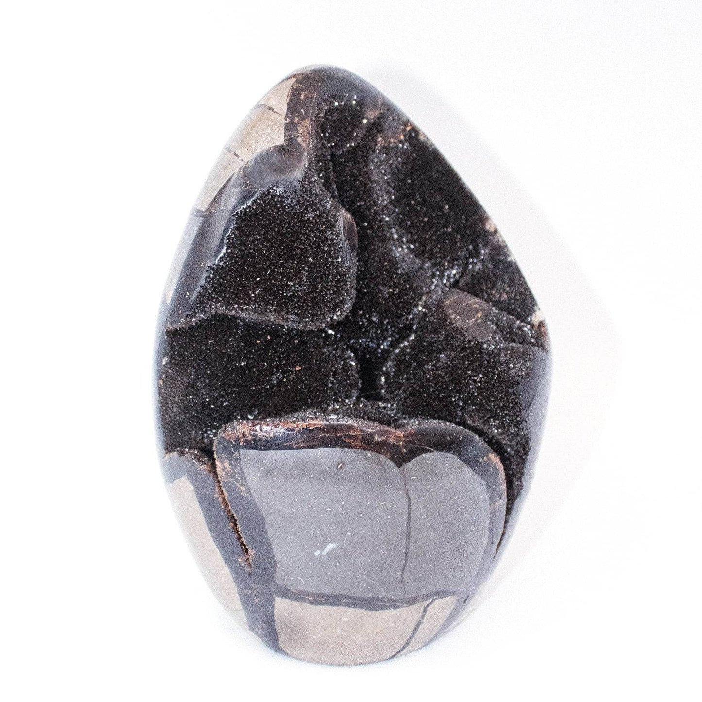Rare Black Septarian Freeform Crystal