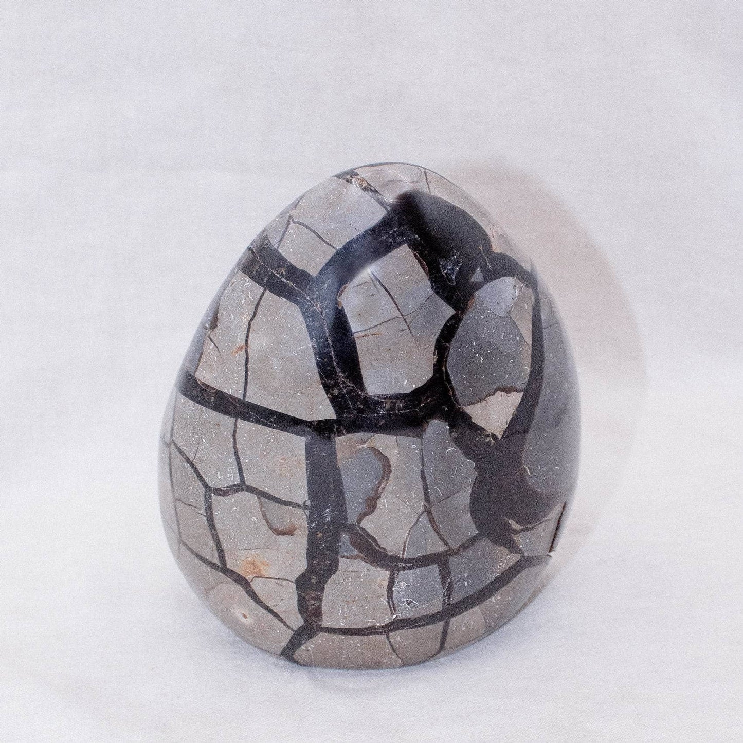 Rare Black Septarian Freeform Crystal