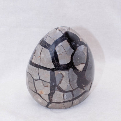 Rare Black Septarian Freeform Crystal