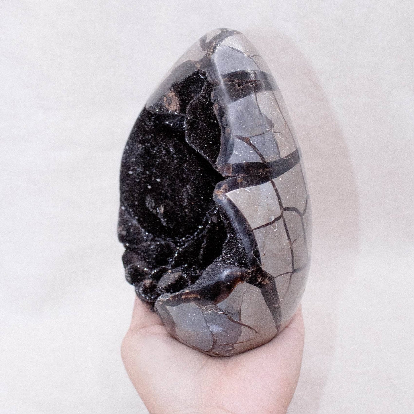 Rare Black Septarian Freeform Crystal