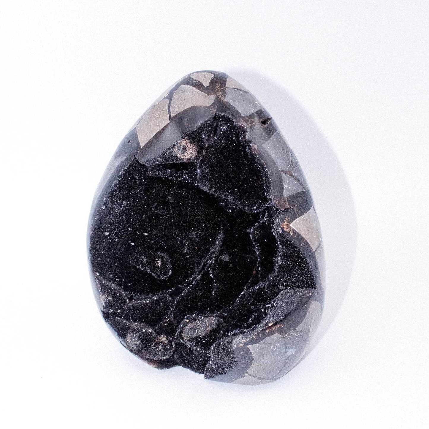 Rare Black Septarian Freeform Crystal
