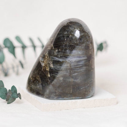 Labradorite Blue Flame Freeform - AAA Premium Quality