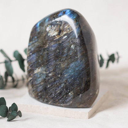 Labradorite Blue Flame Freeform - AAA Premium Quality