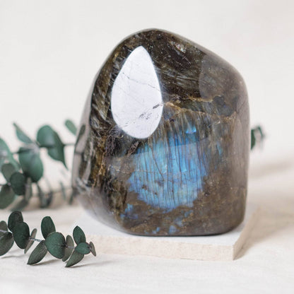 Labradorite Blue Flame Freeform - AAA Premium Quality