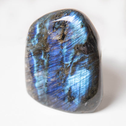 Labradorite Blue Flame Freeform - AAA Premium Quality