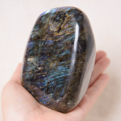 Labradorite Blue Flame Freeform - AAA Premium Quality