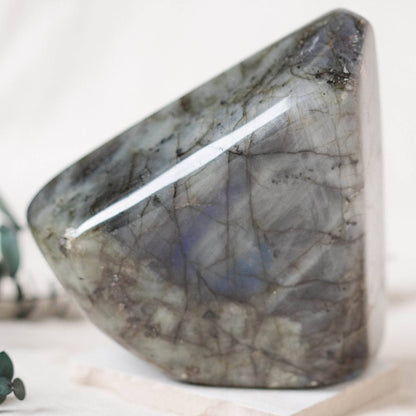 Labradorite Blue Flame Freeform - AAA Premium Quality
