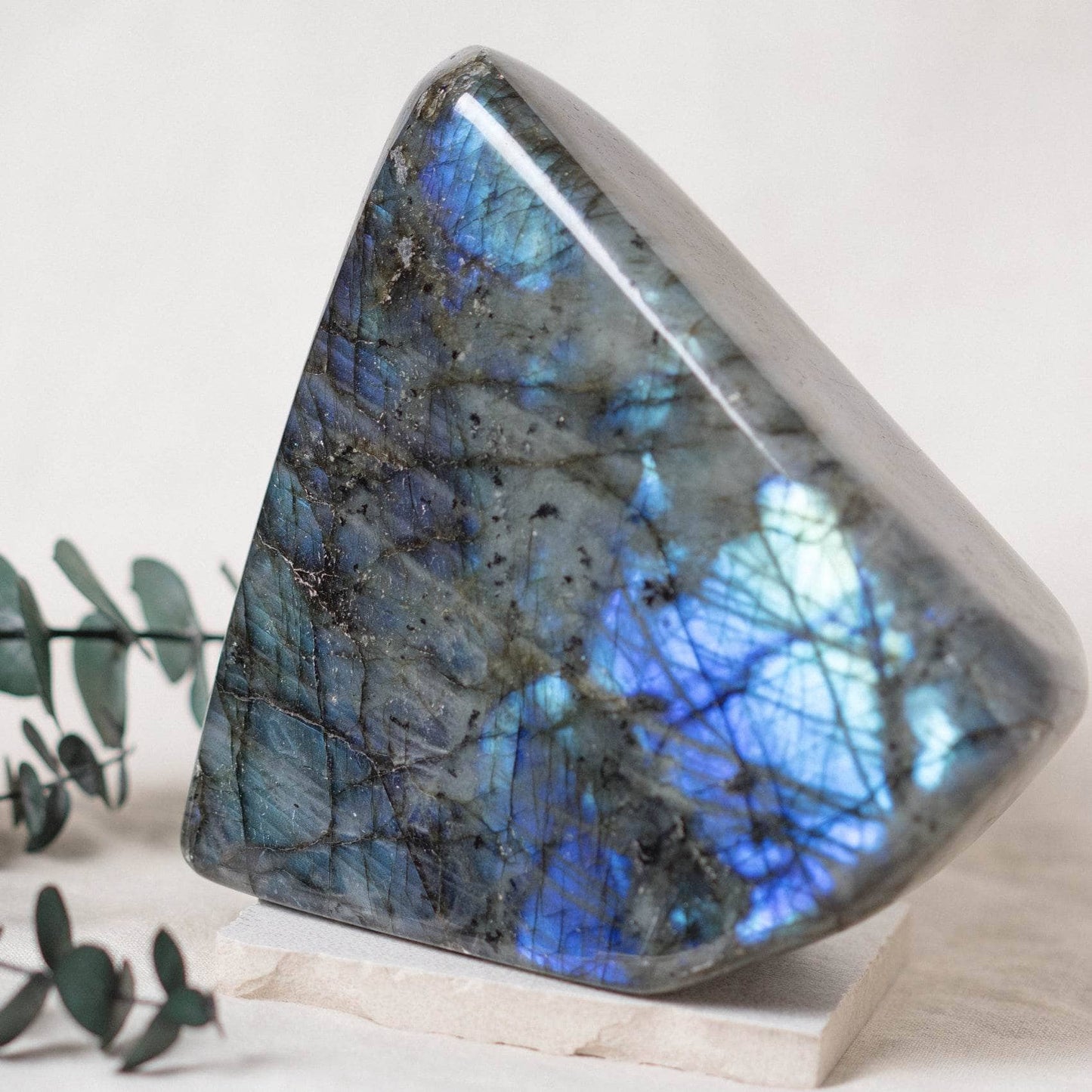 Labradorite Blue Flame Freeform - AAA Premium Quality