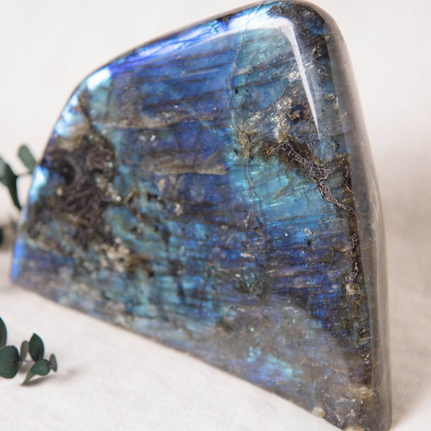 Labradorite Blue Flame Freeform - AAA Premium Quality