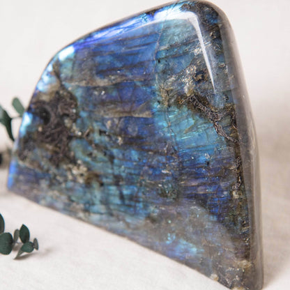 Labradorite Blue Flame Freeform - AAA Premium Quality
