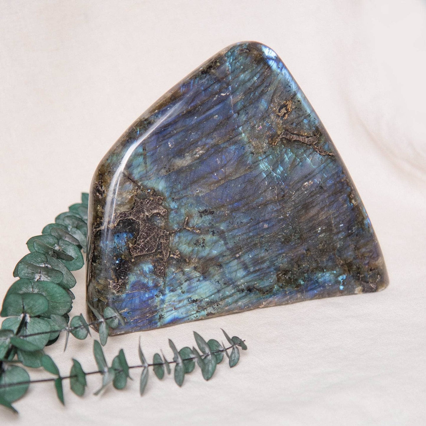 Labradorite Blue Flame Freeform - AAA Premium Quality